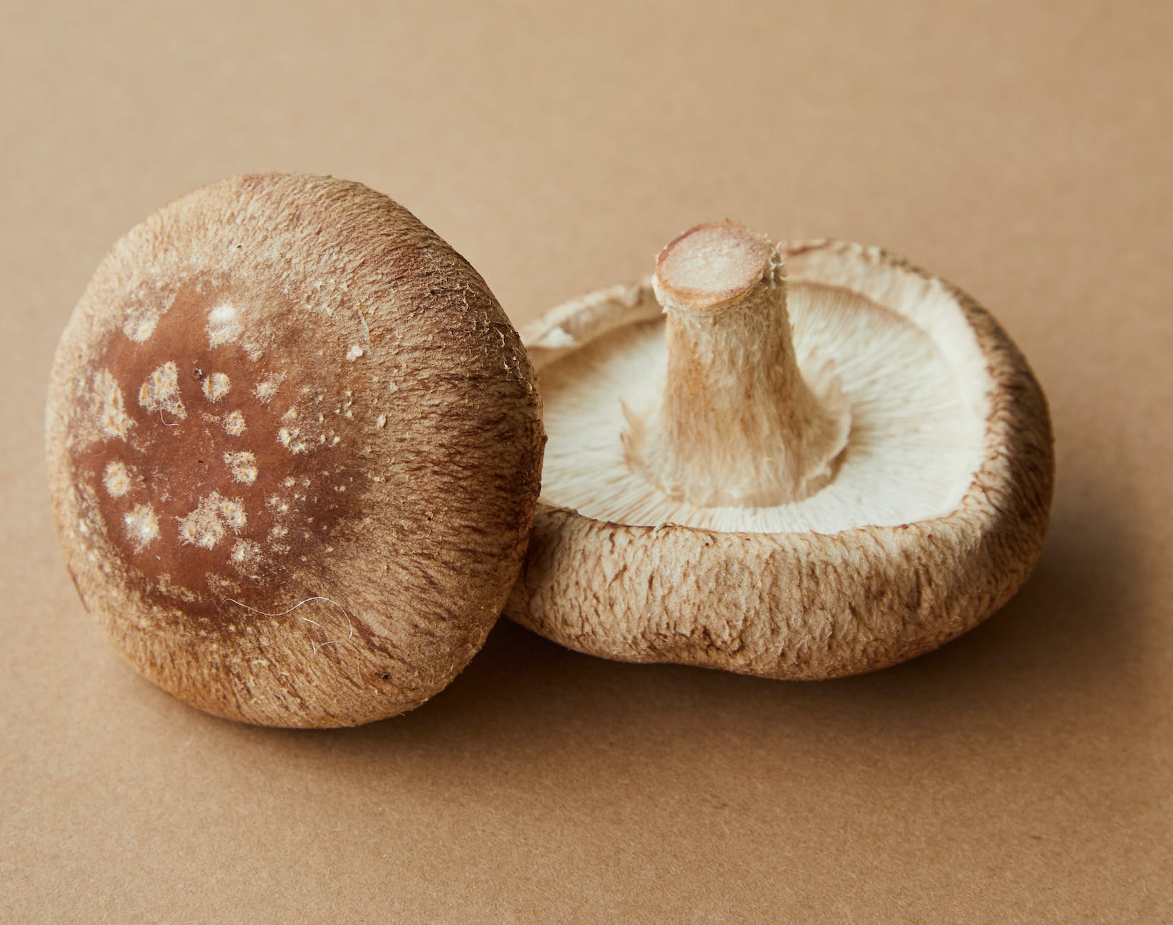brown mushrooms on beige surface